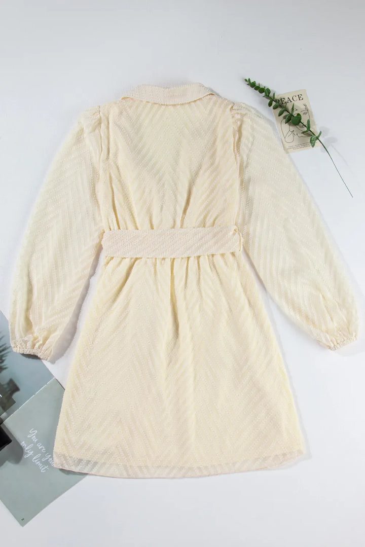 Surplice Long Sleeve Mini Dress | Trendsi
