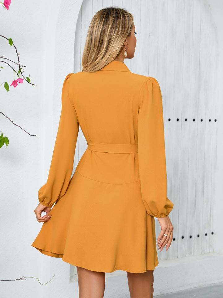 Surplice Tie Waist Long Sleeve Mini Dress | Trendsi