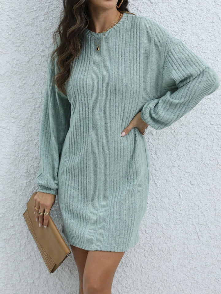 Round Neck Long Sleeve Mini Dress | Trendsi