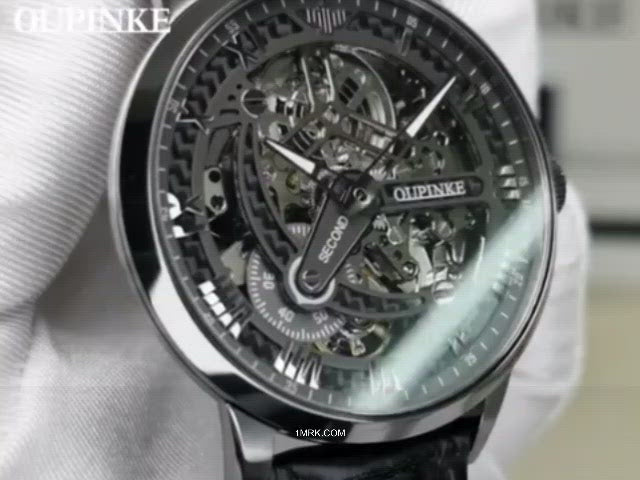 Oupinke 3173 Watch New Classic automatic luxury brand ⌚ - 1MRK.COM