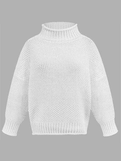 Turtleneck Long Sleeve Sweater | Trendsi