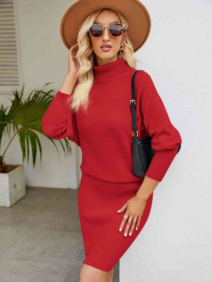 Turtle Neck Long Sleeve Ribbed Sweater Dress | 1mrk.com