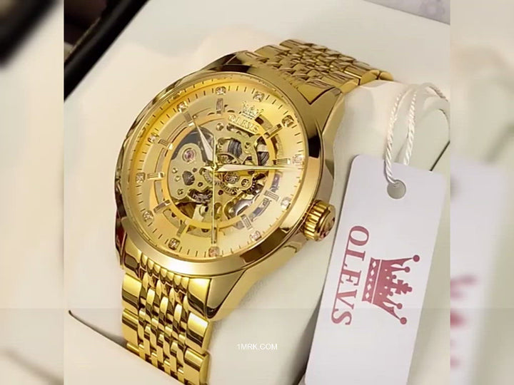 Olevs 9920 Mechanical Watches Fashion Hand Wind Watches - 1MRK.COM