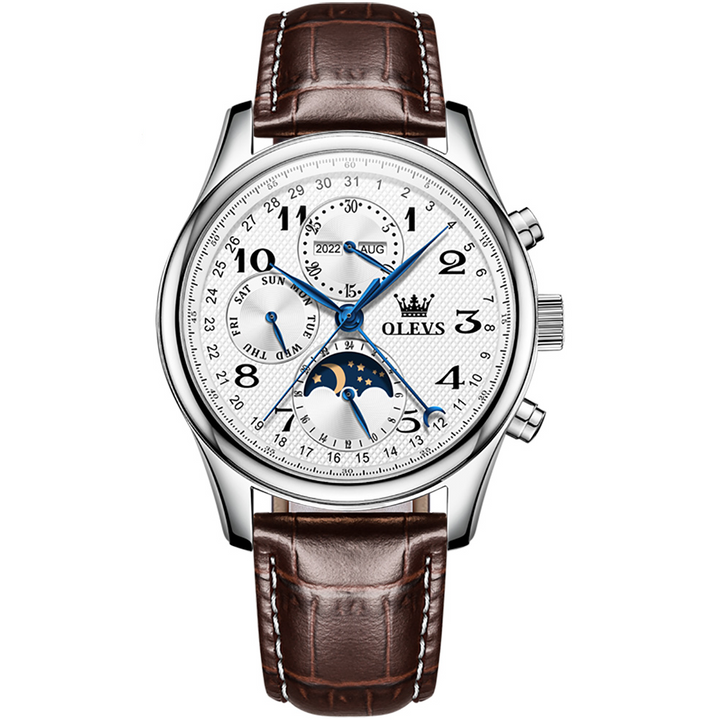 OLEVS 6667 Mechanical Wrist Watch Luxury Mens Automatic Watches | 1mrk.com