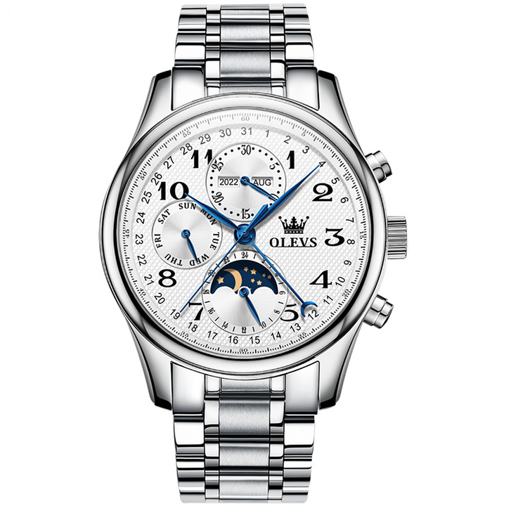 OLEVS 6667 Mechanical Wrist Watch Luxury Mens Automatic Watches | 1mrk.com