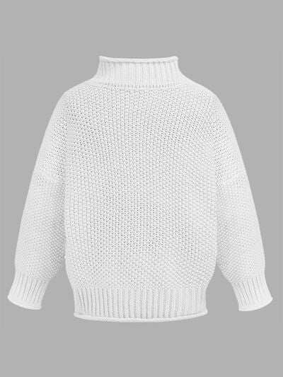 Turtleneck Long Sleeve Sweater | Trendsi