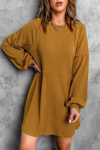 Round Neck Long Sleeve Mini Dress |1mrk.com