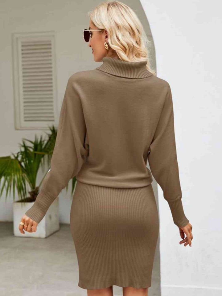 Turtle Neck Long Sleeve Ribbed Sweater Dress | 1mrk.com