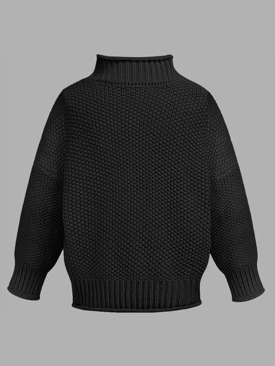 Turtleneck Long Sleeve Sweater | Trendsi