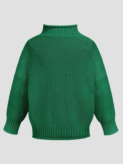 Turtleneck Long Sleeve Sweater | Trendsi