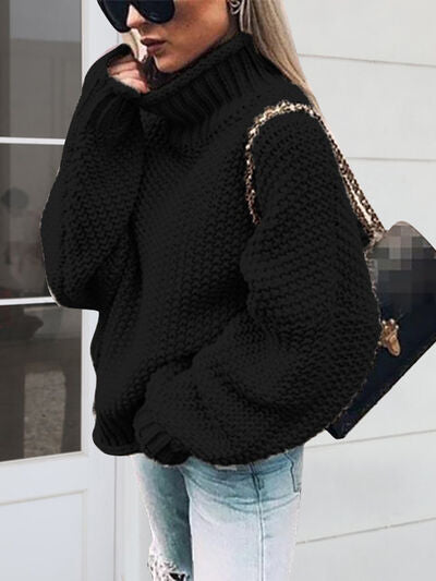 Turtleneck Long Sleeve Sweater | Trendsi