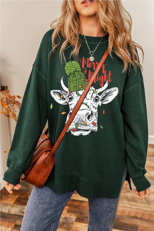 Bull Graphic Round Neck Long Sleeve Sweatshirt |1mrk.com