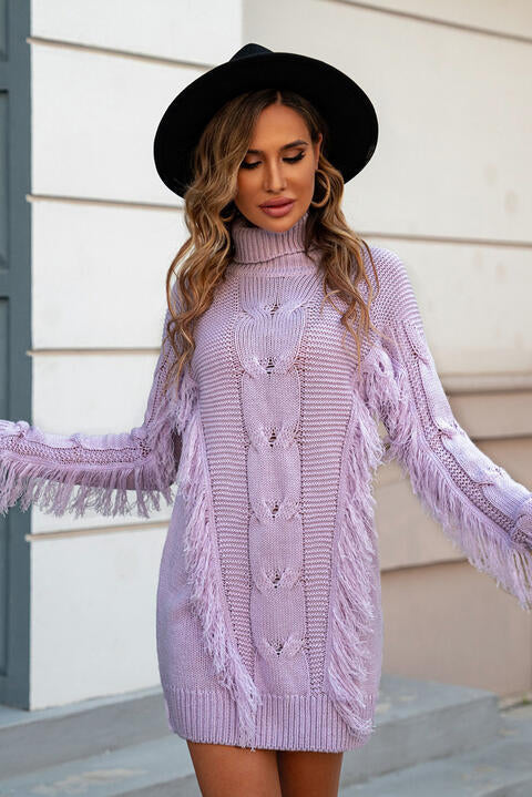 Turtleneck Fringe Detail Sweater Dress |1mrk.com