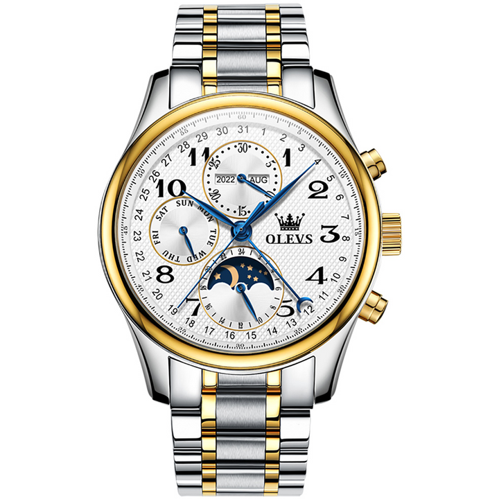 OLEVS 6667 Mechanical Wrist Watch Luxury Mens Automatic Watches OLEVS