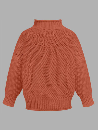 Turtleneck Long Sleeve Sweater | Trendsi