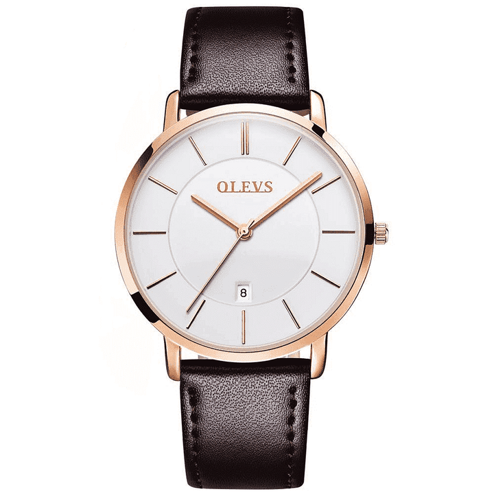 OLEVS 5869 Men Hand Watch Luxury Brand  Quartz Wrist Watch OLEVS