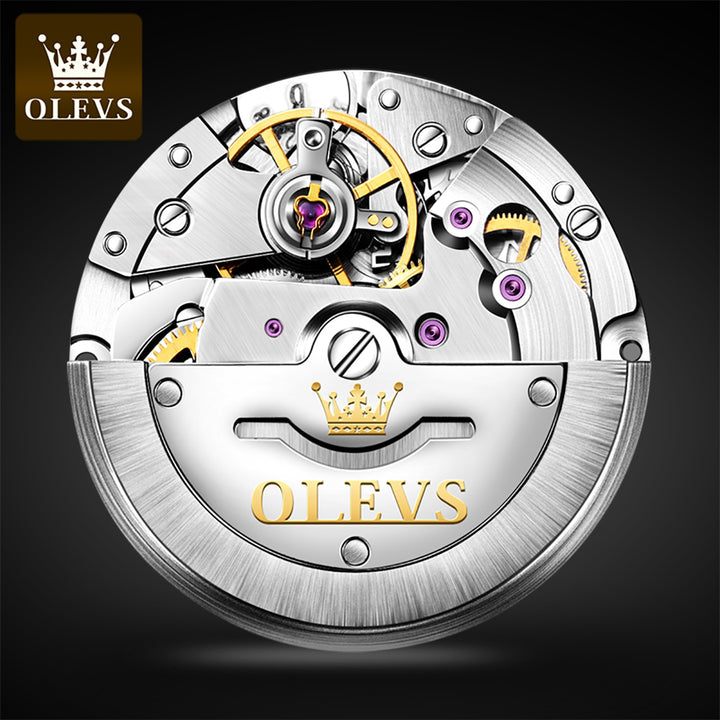 OLEVS 6666 Watches Brand Private Wrist Luxury Automatic Mechanical Men OLEVS