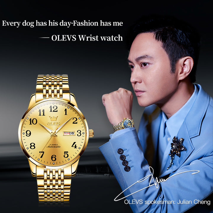 OLEVS 6666 Watches Brand Private Wrist Luxury Automatic Mechanical Men OLEVS