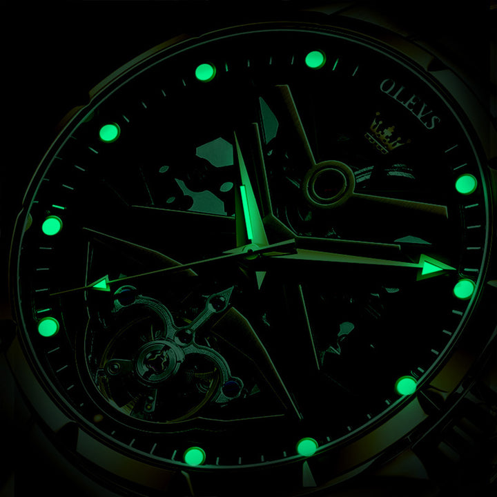 OLEVS 6655 Wrist Watches Mechanical Watches Men OLEVS