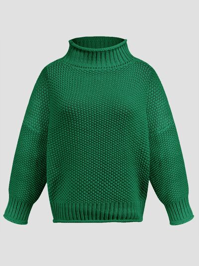 Turtleneck Long Sleeve Sweater | Trendsi