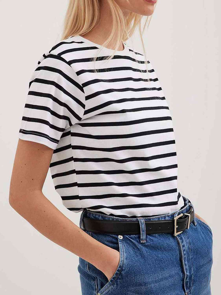 Striped Short Sleeve T-Shirt | 1mrk.com