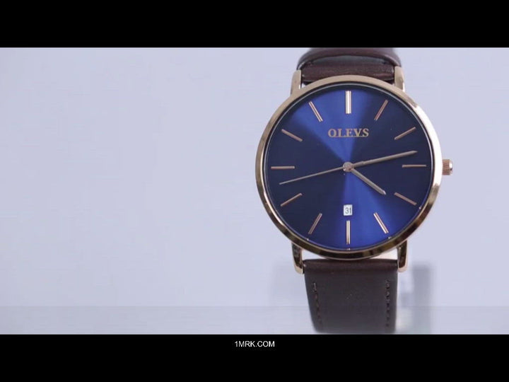 Men Watch Luxury Brand OLEVS 5869 Quartz WristWatch ⌚ freeshipping - 1mrk.com