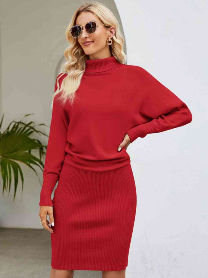 Turtle Neck Long Sleeve Ribbed Sweater Dress | 1mrk.com