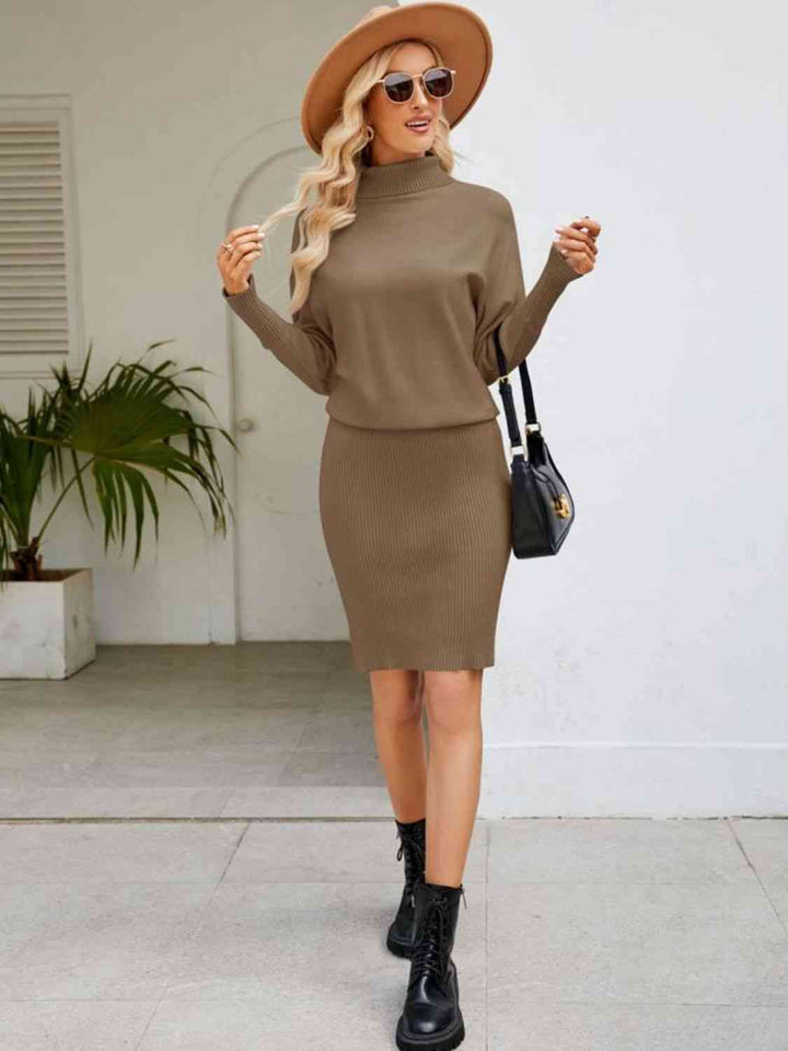 Turtle Neck Long Sleeve Ribbed Sweater Dress | 1mrk.com